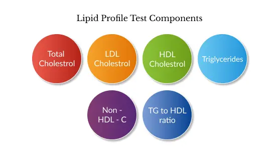 Lipid Profile Test