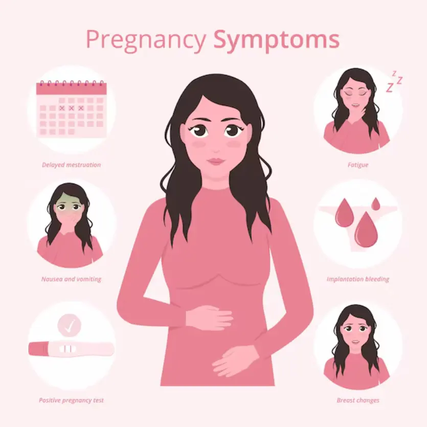 Pregnancy Symptoms in Hindi