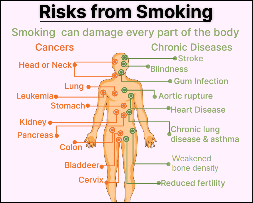 smokers panel basic