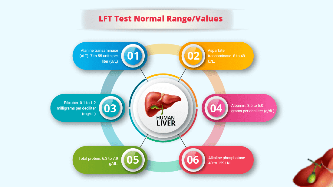 LFT Test Normal Ranges and Values