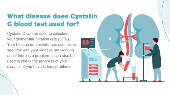 cystatin c blood test used for