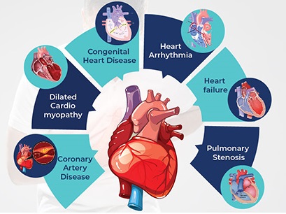 cardiac profile test