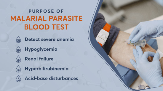 Malarial blood test