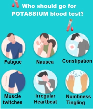 Potassium Blood Test