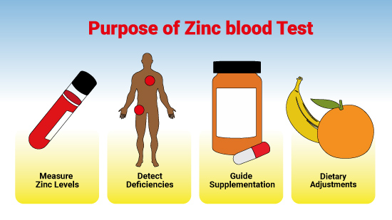 Purpose of Zinc Blood Test