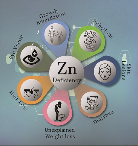 Zinc Blood Test